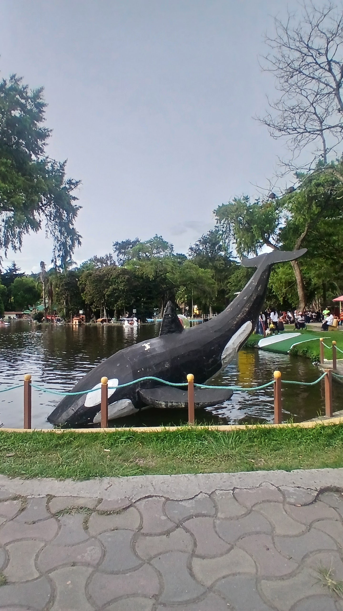 Parque Recreacional Jipiro 8